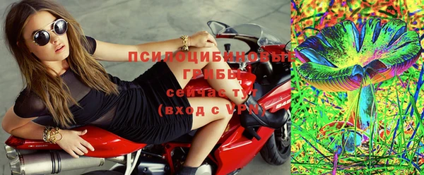 прущая мука Щигры