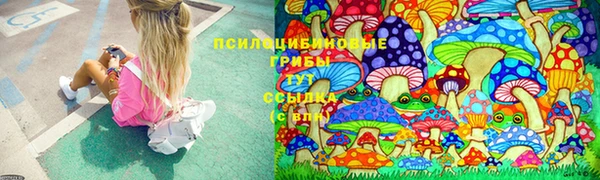 спайс Щучье