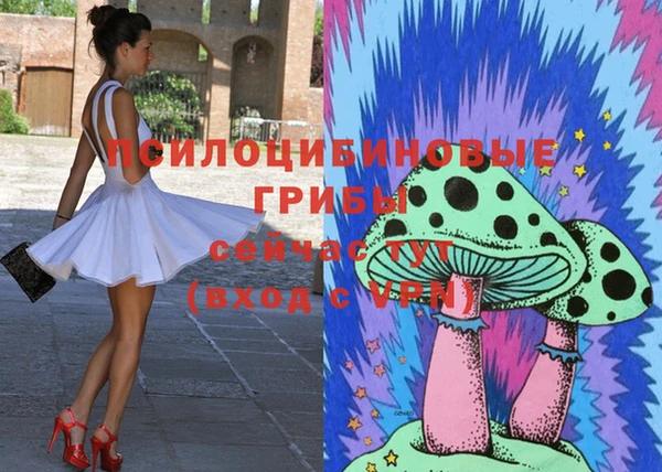 спиды Яранск
